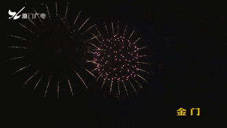 Gif animé feux d'artifices 174
